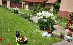 Casa Izvorul Rece